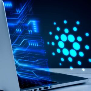 Level 5 Diploma in Information Technology